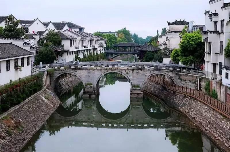 夜莺只有雄性才会唱歌吗游戏画面